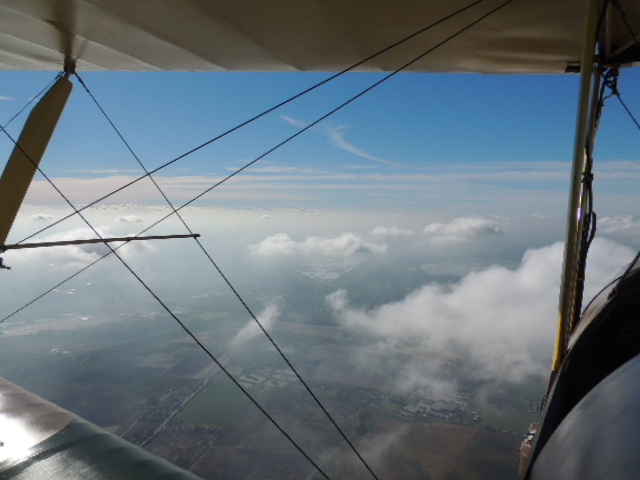 Tiger Moth DH82